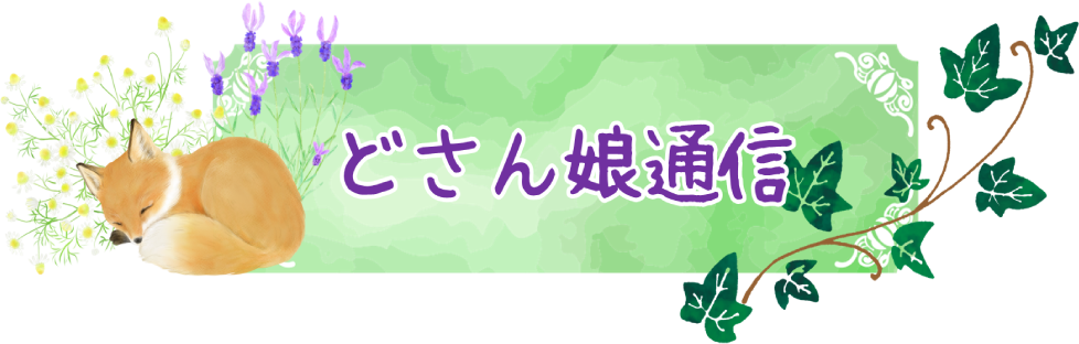 どさん娘通信