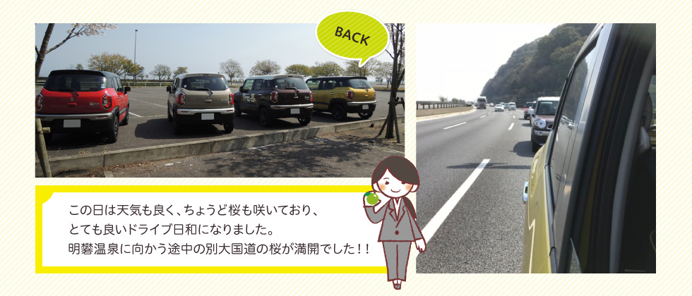 この日は天気も良く、ちょうど桜も咲いており、とても良いドライブ日和になりました。明礬温泉に向かう途中の別大国道の桜が満開でした！！