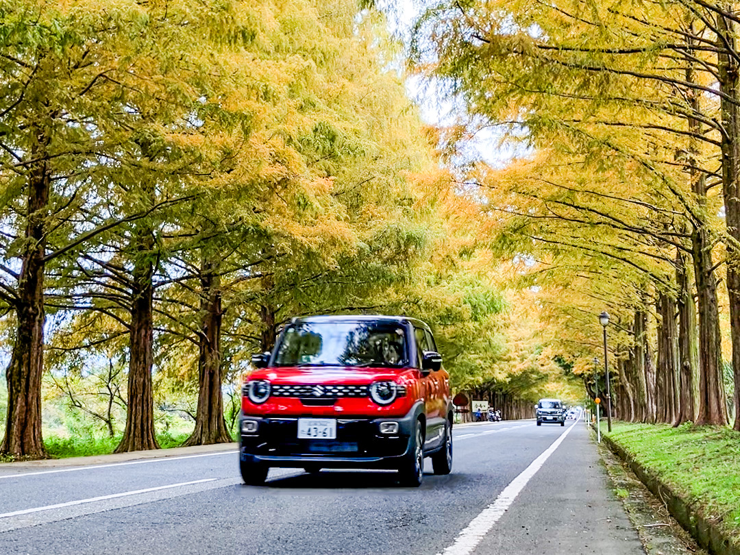 お店の外で車を見られる