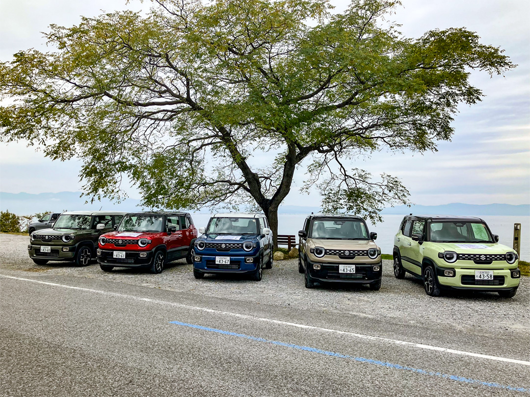 一度に集まる「奇跡の光景」