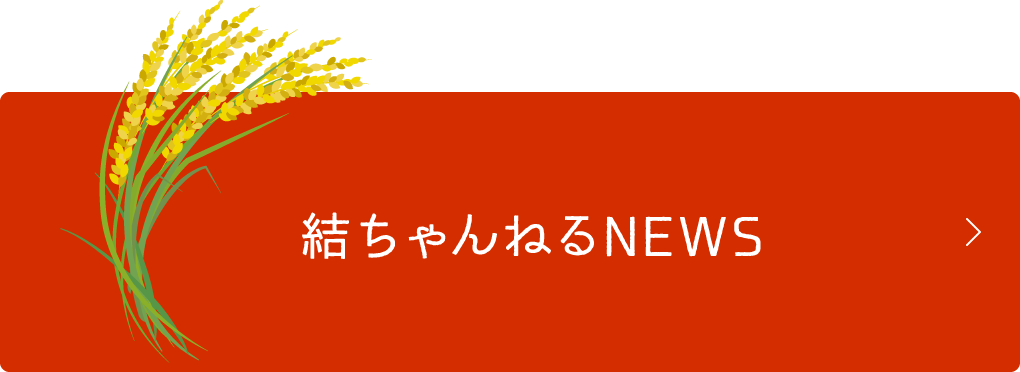 結ちゃんねるNEWS