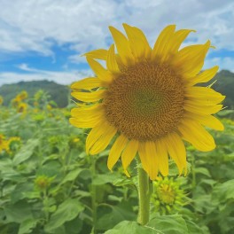 夏も終わり過ごしやすい季節に