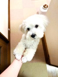 癒しの共有第２弾～