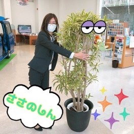 ～観葉植物に名前をつけてみた～