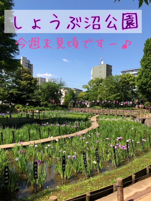 しょうぶ沼公園１