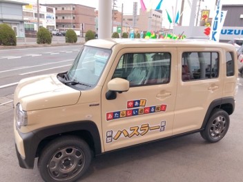 ハスラーご試乗開始です＼(゜ロ＼)(／ロ゜)／