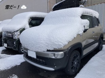 もっふもふの雪