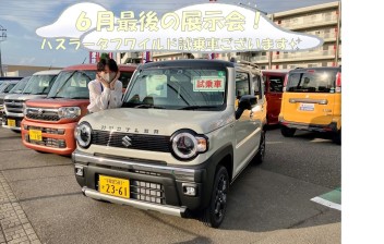 梅雨も吹き飛ばす６月最終展示会！２９日(土)、３０日(日)開催！