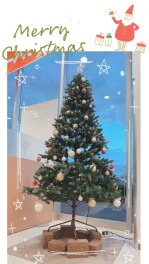クリスマスツリーを飾りました♥