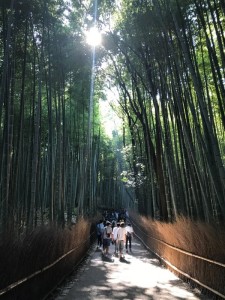 IMG_1851