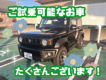 試乗車多数取り揃えております！