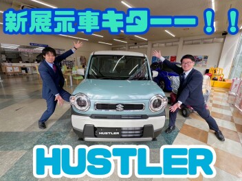 新展示車キターーー
