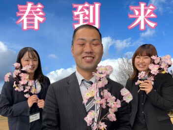 春ですね(*^^*)