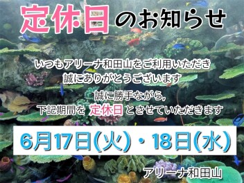 ◇定休日のご案内◇