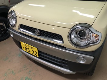 大人気ハスラー☆