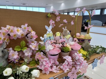 ショールームが春に♡