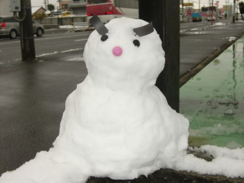 先日の雪は・・・