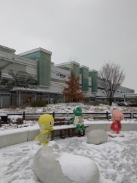 本日は雪