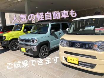 試乗車あります！