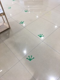 かえるロード！！！！