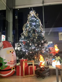 店内がクリスマス仕様になりました！