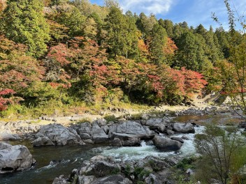 紅葉の時期ですね♪