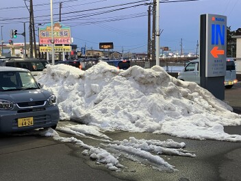 『雨水』も過ぎました。