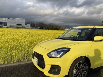 ＳＵＺＵＫＩ　×　愛媛の絶景　「菜の花畑×スイフトスポーツ」