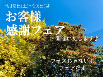 ☆感謝フェアとおススメのドラレコのお話☆