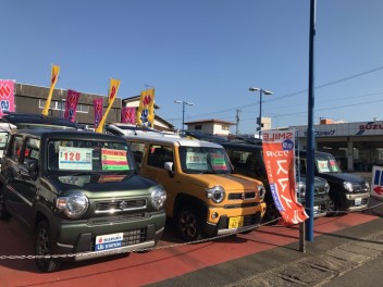 人気車種の中古車が並んでいます♪