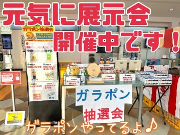 ★元気に展示会実施中です★