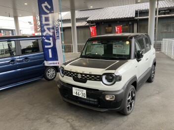 バレンタインデーはスズキアリーナ名古屋緑店へ！