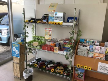 夏模様になりました