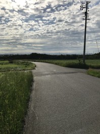 朝のウオーキングコース