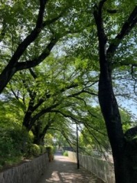 ハスラー仕様変更しました。
