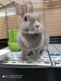 もふっと！もふもふ♡