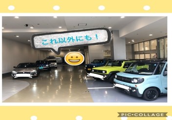 試乗車揃えて感謝を！