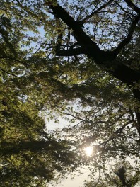 ☆お花見・・・？☆