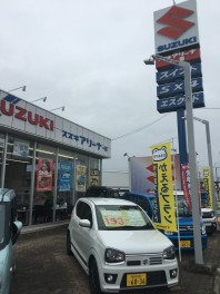 来週はスズキの日！