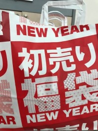 新年明けましておめでとうございますm(__)m