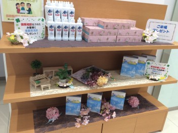 春のショールーム♡