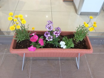 ぷち花壇♡