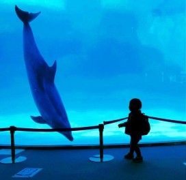 名古屋港水族館