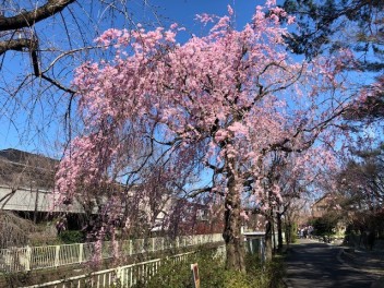 ｽｽﾞｷ大決算セール間もなく終了です！！