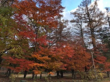 紅葉ドライブ！！