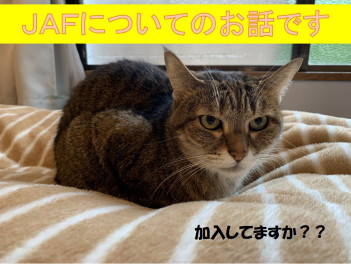 JAFにはいって「あんしん」「たのしい」カーライフ！