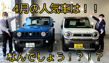 ４月の人気車種を発表します！