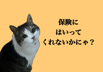 アリーナ小郡からのおねがいです♡