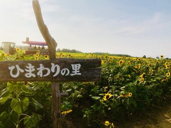 今月のオススメ車と８月の休業日のご案内