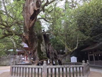 愛媛のおすすめスポット「大山祇神社」